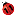 AE__n11com