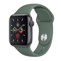 Apple Watch Series 5 Alüminyum kasa