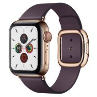 Apple Watch Series 5 Modern Buckle